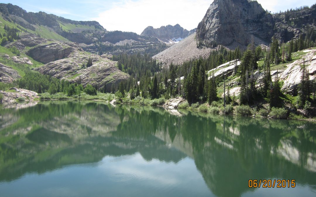 Life Reflections