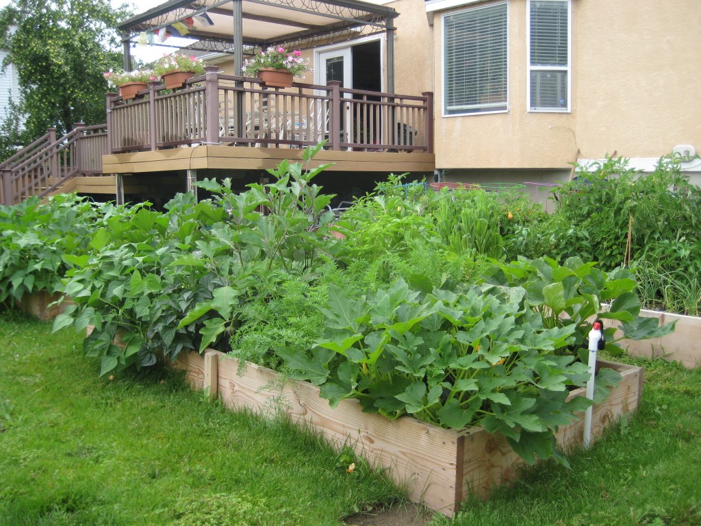 deep bed garden